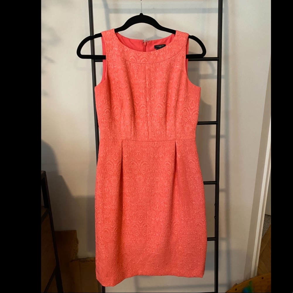 Ann Taylor Dress